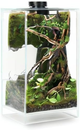 Desktop Glass Plant Terrarium with Grow Light(L7.8 W7.8 H14), for Succulent, Moss, Miniature Gardening Landscape, Betta Fish Tank, Indoor Plant Growth, Office Home Decoration (TimeControlled)