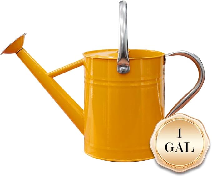 Metal Watering Can, One Gallon Watering Cans Stainless Steel for Outdoor Indoor Garden Plants Watering (Yellow)