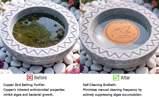 2Pack Bird Bath Copper Purification Disk | 0.6mm Reinforced 99.9% Pure Copper | Universal Fit for Outdoor Birdbaths(Birdbath Copper 2 Pack)