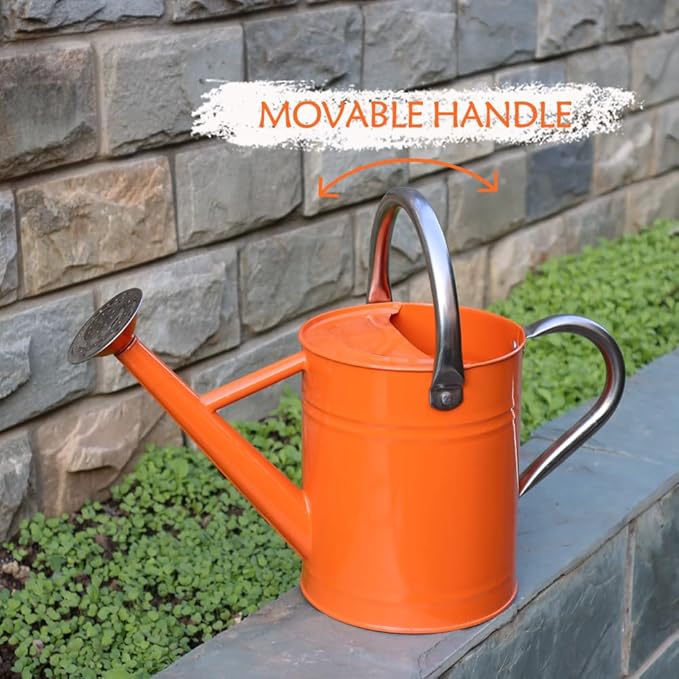 Metal Watering Can, One Gallon Watering Cans Stainless Steel for Outdoor Indoor Garden Plants Watering (Stainless Steel Handle Orange)