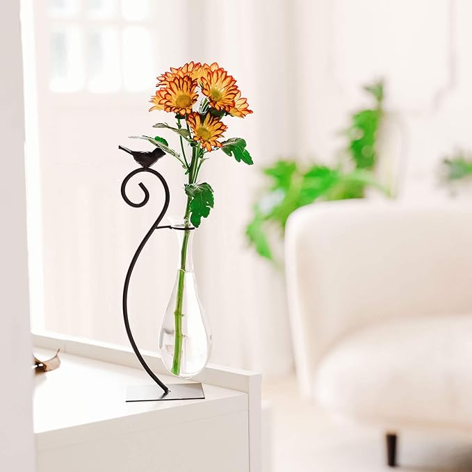 Marbrasse Desktop Glass Planter Hydroponics Vase,Planter Bulb Vase with Holder for Home Decoration,Modern Creative Bird Plant Terrarium Stand, Scindapsus Container (Water Drop Vase)