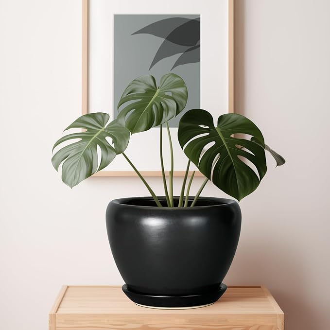 Ceramic Pot for Plants - 10 Inch Plant Pot Indoor with Drainage Hole and Saucer Large Planter Decorative Planter Modern Outdoor Flower Pot for House Balcony Black