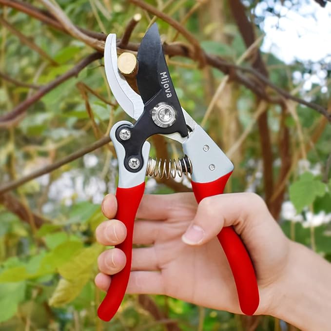 Garden Pruners, Heavy Duty Garden Clippers,Pruning Shears with Adjustable Thumb Lock,Hand Gardening Tools Pruners,Stainless Steel Sharp Gardening Scissors (MJ001)
