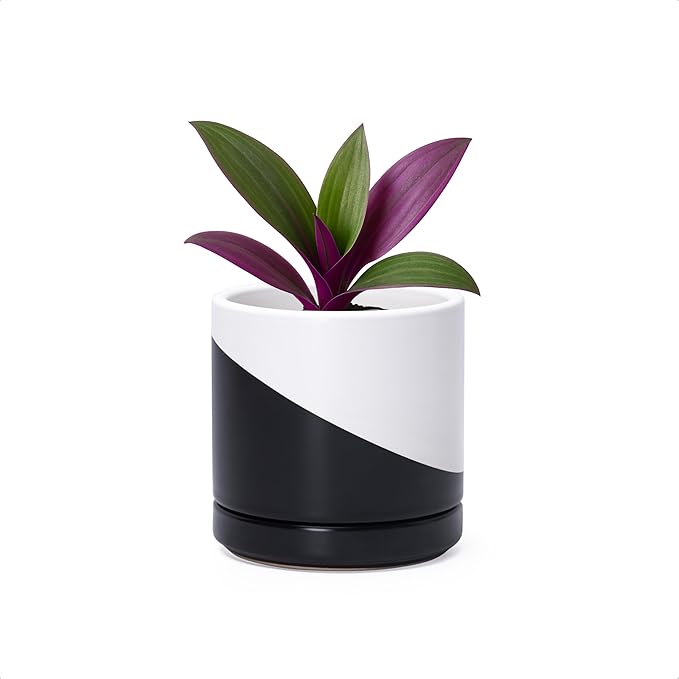 D'vine Dev 3.5 Inch Ceramic Planter Pot with Drainage Hole and Saucer, Indoor Cylinder Round Planter Pot, Oblique Monochrome Black and White, 94-O-A-K