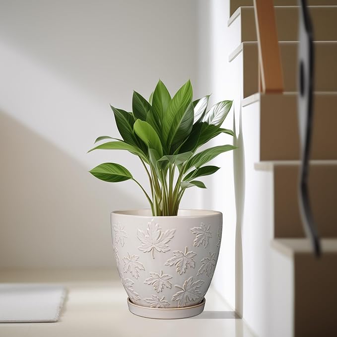 Pots for Plants 10 Inch - Ceramic Planter Large Plant Pot for Indoor Plants Outdoor Round Flower Pot with Drainage Hole and Saucer Home Garden Decor White