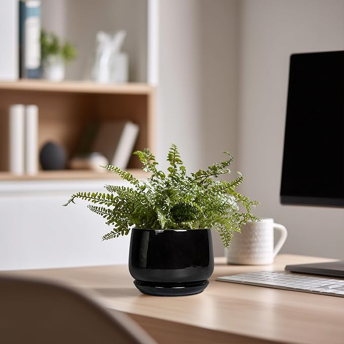 G EPGardening Small Ceramic Planter - 4 Inch Succulent Pots with Drainage Hole & Sacuer, Flower Pots for Indoor Outdoor Plants, Modern Decorative Round Planter, Room Decor, House Warming Gifts, Black