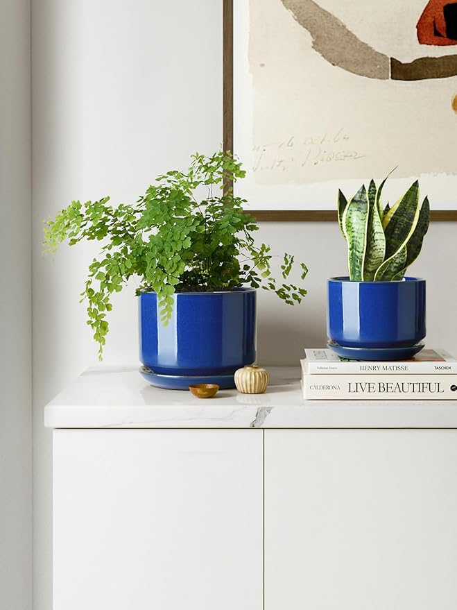 LE TAUCI Ceramic Plant Pots, 4.3+5.3+6.8 inch, Set of 3, Planters with Drainage Hole and Saucer, Indoor Flower Pot with Hole Mesh Pad, Gifts for Mom, Sapphire Blue