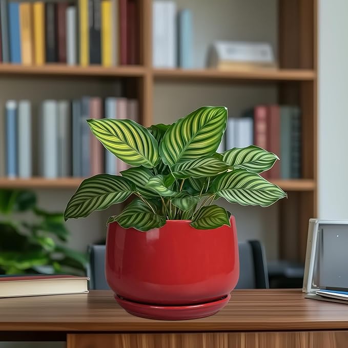 G EPGardening Ceramic Planter 7 Inch - Flower Pots for Indoor Plants, Round Planter with Drainage and Ceramic Tray, Modern Plant Pot, Bathroom Decor, Teacher Gifts, Red