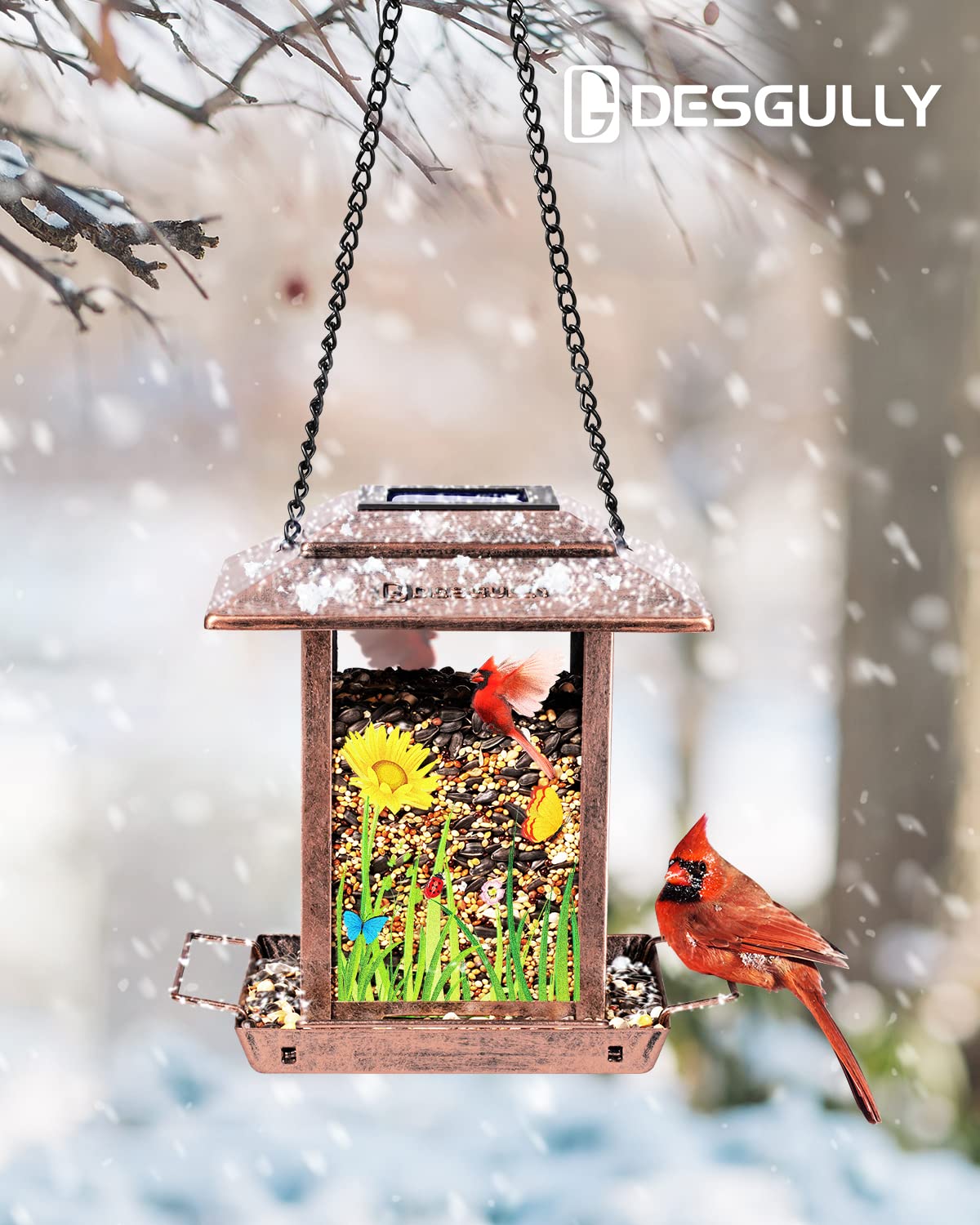 DesGully Solar Bird Feeders for Outdoors - 2.5 LBs Metal Wild Large & Small Bird Feeder for Outside Hanging, Gift Ideas for Avian Enthusiast Garden Yard Seeds (Chew-Proof, Weather Resistance)