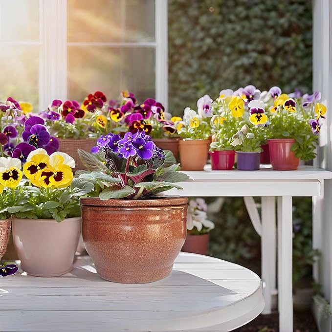 African Violet Pots Self Watering Round Ceramic Violet Pot (Copper, 6 inch)