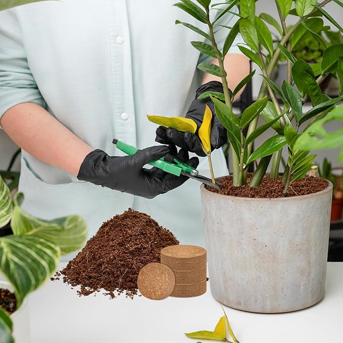 ZeeDix 100 Pcs 40mm Organic Coco Coir Pellets, Compressed Coconut Coir Seed Starter Expanding Soil Discs Potting Soil Dirt Pellets for Planting Bonsai, Herbs, Plants, Flowers and Vegetables