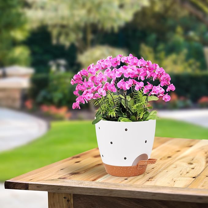 6 Inch Orchid Pots with Holes, 2 Pack Self Watering Planters for Orchids Plastic Orchid Pot Plant Flower Pots for Orchids Indoor Outdoor (White with Brown)