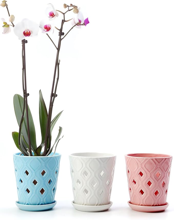 Whispering Winds Ceramic 5 x 6 Inch Orchid Pot with Holes & Saucer for Aeration and Drainage - Decorative Orchid Pots for Repotting, Prevent Over Watering & Root Rot (Charlotte Blue)