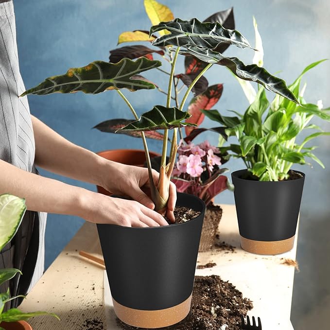 GARDIFE Plant Pots 8/7/6.5/6/5.5/5 Inch Self Watering Planters with Drainage Hole, Plastic Flower Pots, Nursery Planting Pot for All House Plants, African Violet, Flowers, and Cactus,Black