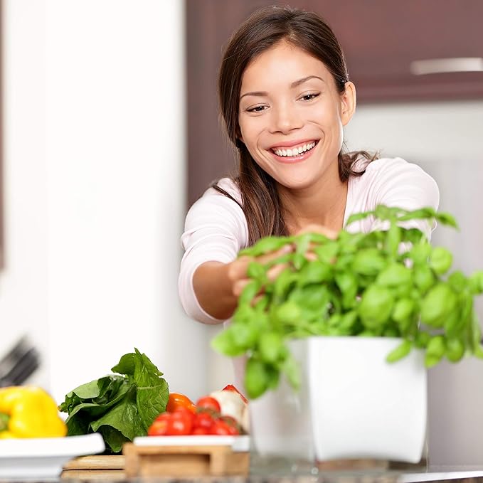 Culinary Indoor Herb Garden Starter Kit | Deluxe Herb Seeds | 12 Non-GMO Varieties | Grow Cooking Herbs & Spices | Seeds: Cilantro, Arugula, Thyme, Sage, Chives, Dill, Basil, More