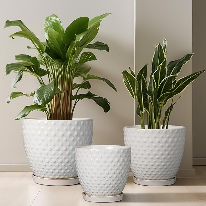 G EPGardening 6 Inch Ceramic Plant Pot with Drainage Hole and Saucer Round Planter Decorative Flower Plant Pot for Indoor Plants Outdoor White