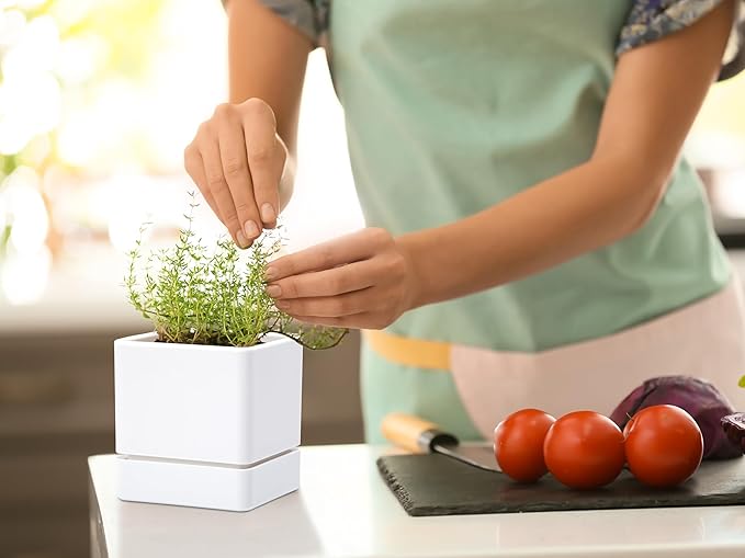 4 Inch Herb Planter Pot, Plastic Planter with Drainage Holes and Saucer, Modern Decorative Gardening Pot for Indoor Plants, Flowers, Herbs, Succulents, White, Set of 4, 76-Y-A-4