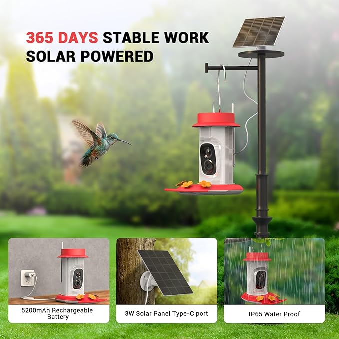 Hummingbird Feeder with Camera, AI Smart Identification Cloud Storage Function, Featuring Ant Moat Protection, Solar Power, Instant Notification, Automatic Bird Video Capture, and Motion Detection