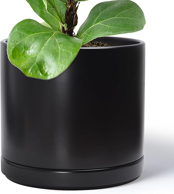 D'vine Dev 14 Inch Ceramic Planter Pot with Drainage Hole and Saucer, Indoor Cylinder Round Planter Pot, Black, 94-O-G-2