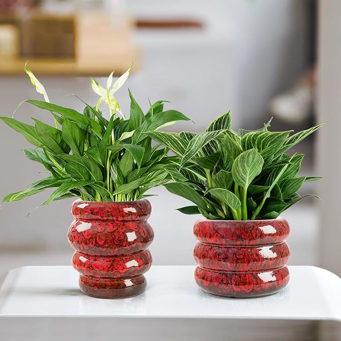 Ceramic 6 inch Plant Pot - Planter for Indoor Plants with Drainage Hole, Flower Pots for Orchid, Succulent,Outdoor Plants, Modern Glaze Planters for Home Office Decor Gift