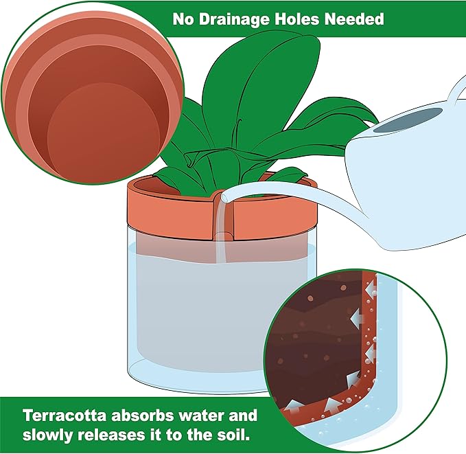 Phoenix Vine 8 Inch Self Watering Planter Pot, Terracotta Clay Pot with Glass Reservoir for Indoor Plants, Herbs, Flowers, Set of 1, 52-A-H-1