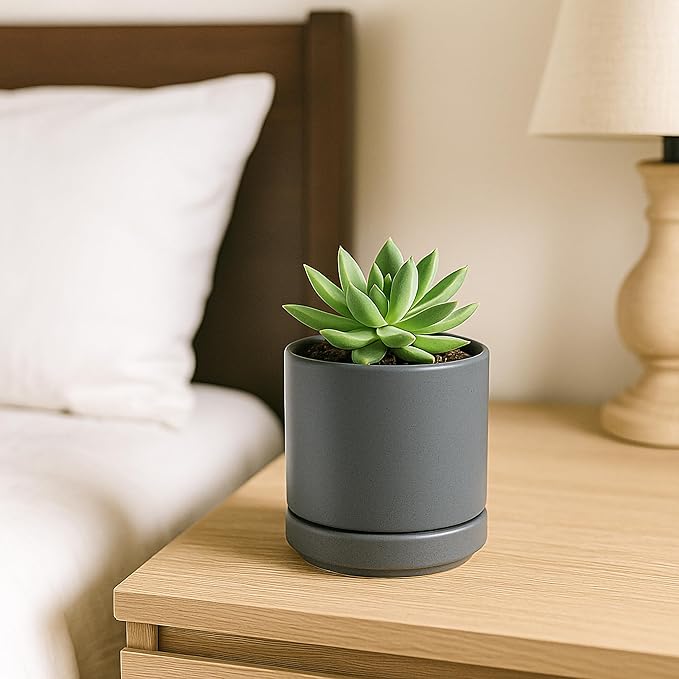 D'vine Dev Set of 2 Plants Pots, 3.5 Inch Ceramic Planter Pot for Plants with Drainage Hole and Saucer, Speckled Grey, 94-V-A-3