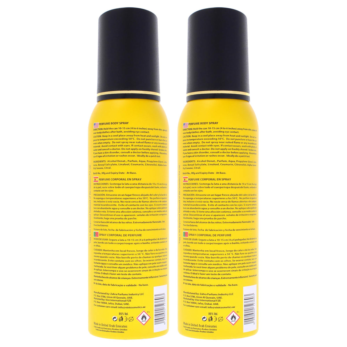 Dynamic by Fogg - Body Spray for Men - Fresh Spicy Aromatic Perfume-Based Body Mist for Men - Vibrant Top Notes of Apple and Orange - 2 pc