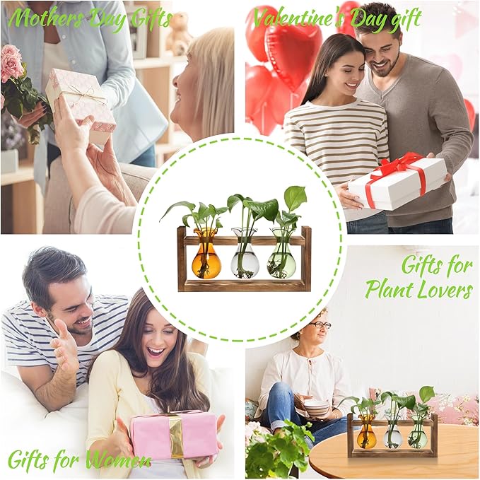 Plant Propagation Station Plant Terrarium Unique Birthday Gifts for Women Plant Lovers Home Office Decor Planter with Wooden Stand - 3 Bulb Glass Vase