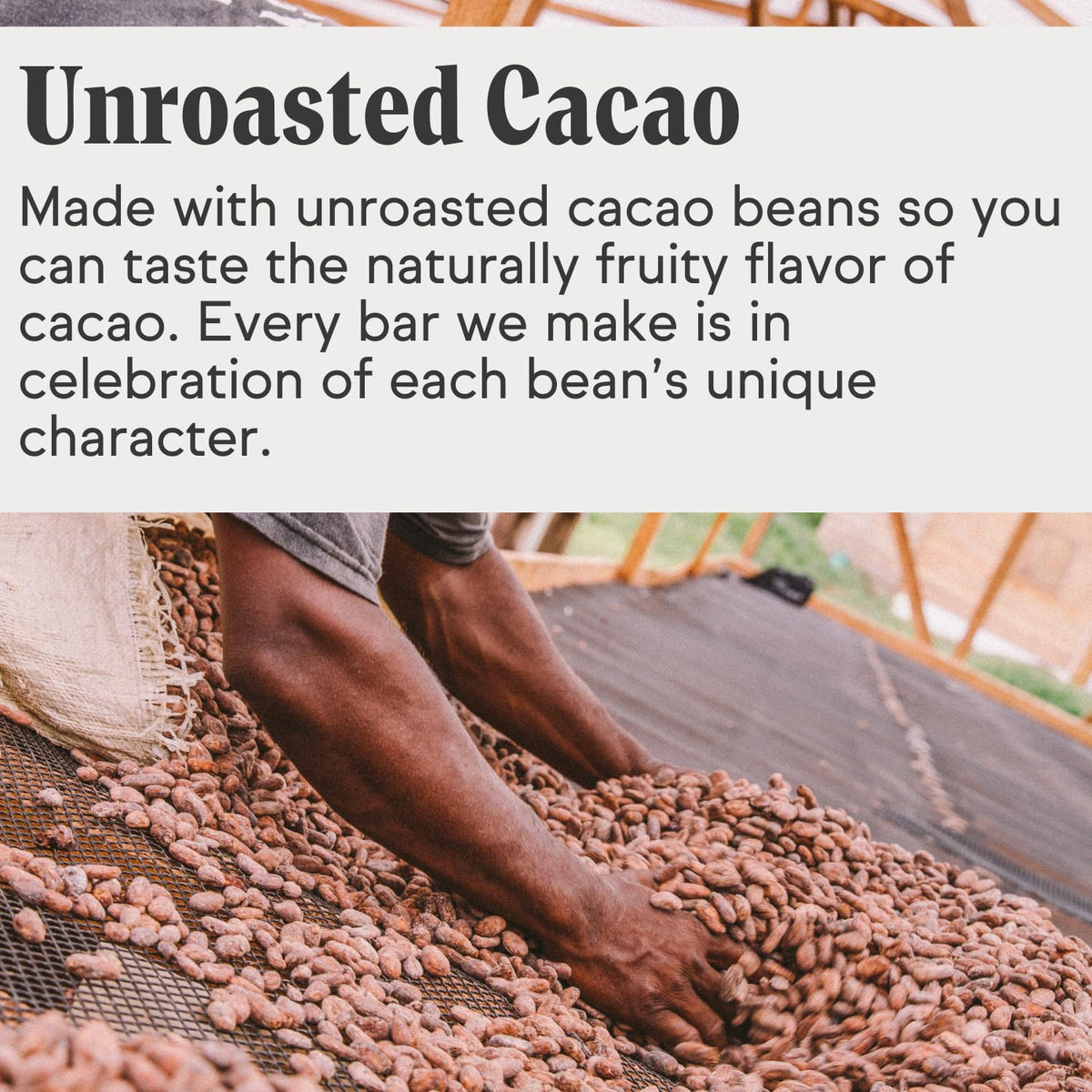 Raaka Coconut Milk Chocolate Gift Box | 60% Cacao Vegan Milk Chocolate | Organic, Vegan, Gluten Free | Box of 30 Individually Wrapped Chocolates