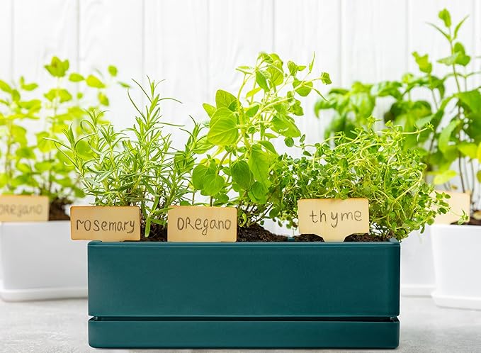D'vine Dev 12 Inch Window Box Planter, Rectangle Plastic Herb Planter with Drainage Holes and Saucer, Indoor Succulent Cactus Vegetable Pot for Windowsill, Garden Balcony, Green, Set of 1, 76-X-C-1