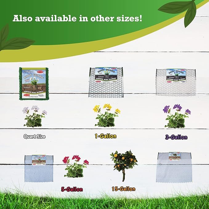 Digger’s 1-Gallon Heavy-Duty Wire Basket - Gopher Wire Basket for Perennials & Vegetables (12 Baskets)