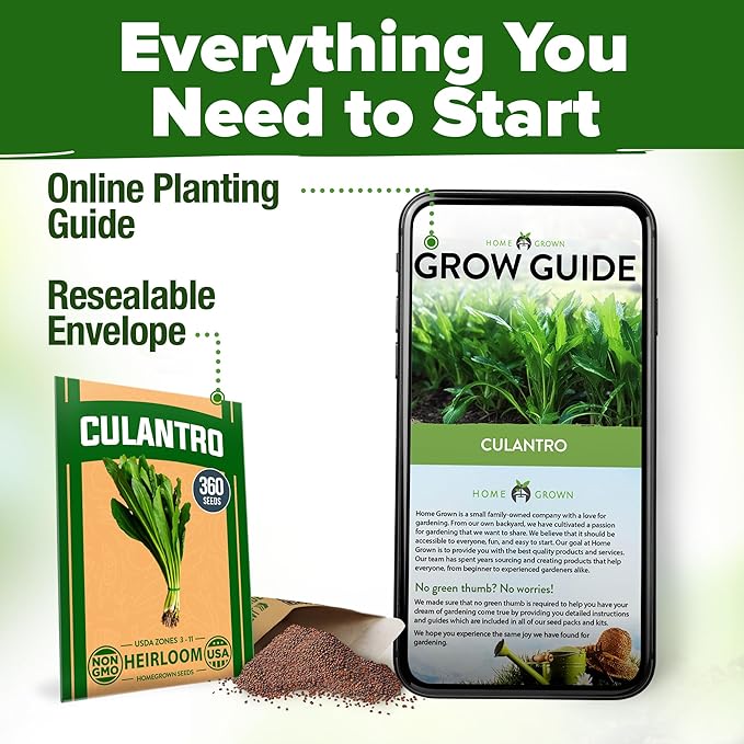 HOME GROWN Culantro Seeds - 720+ π‘π’π‘-ππ π’, π¨π¦π-π¦π’π¨π₯πππ Heirloom Herb Seeds for Planting, Slow-Bolting, Flavorful Cilantro Alternative, Great for Outdoor Herb Gardens (Eryngium foetidum)