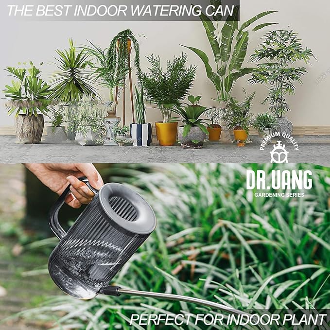 Small Watering Can Indoor Plants with Long Spout (1L, Gray)