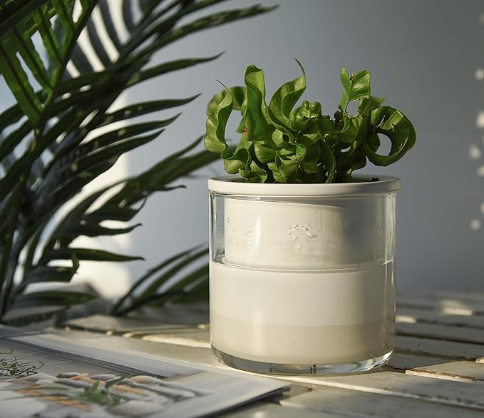 Phoenix Vine 4 Inch Self Watering Planter Pot, Design White Terracotta Pots for Plants, Indoor Cylinder Terra Cotta Pots with Glass Vase, Set of 1, 51-B-E-1