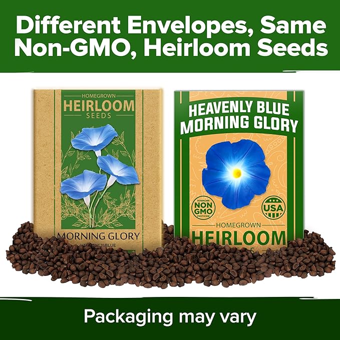 HOME GROWN π¨π¦π π£π₯ππ ππ¨π Heavenly Blue Morning Glory - 150 Heirloom Seeds for Planting, π‘π’π‘-ππ π’ Ideal for a Flower Garden That Attracts Pollinators and Birds (Ipomoea Tricolor)