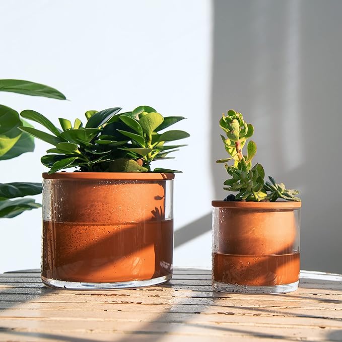 Phoenix Vine 4 Inch Self Watering Plants Pot, Design Terracotta Pot for Plants, Indoor Cylinder Terra Cotta Planter with Glass Vase, Set of 1, 51-A-E-1