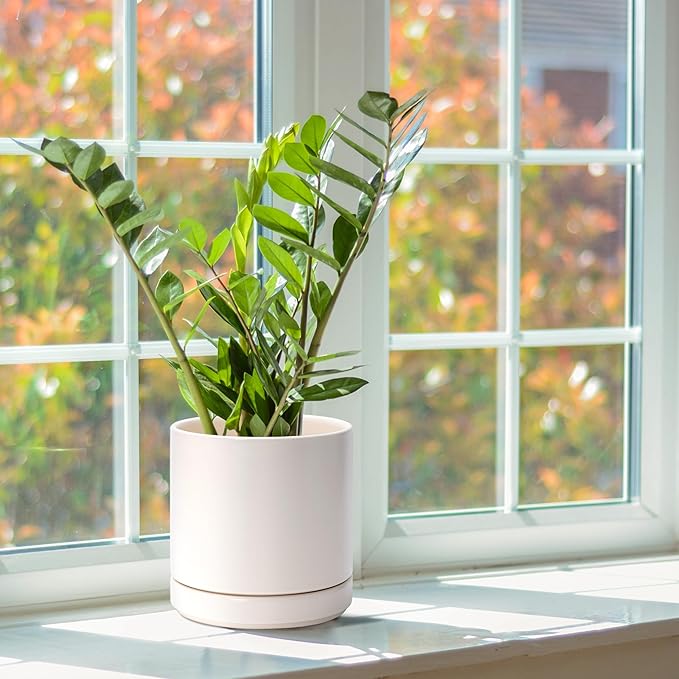 D'vine Dev Set of 2 Plants Pots, 6.5 Inch Ceramic Planter Pot for Plants with Drainage Hole and Saucer, Oatmeal, 94-V-C-8