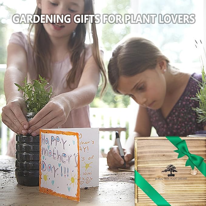 Bonsai Tree Kit – DIY Japanese Bonzai Trees with All-in-One Indoor Plant Growing Tools & Planters – Unique Gardening Gifts for Women, Men & Kids