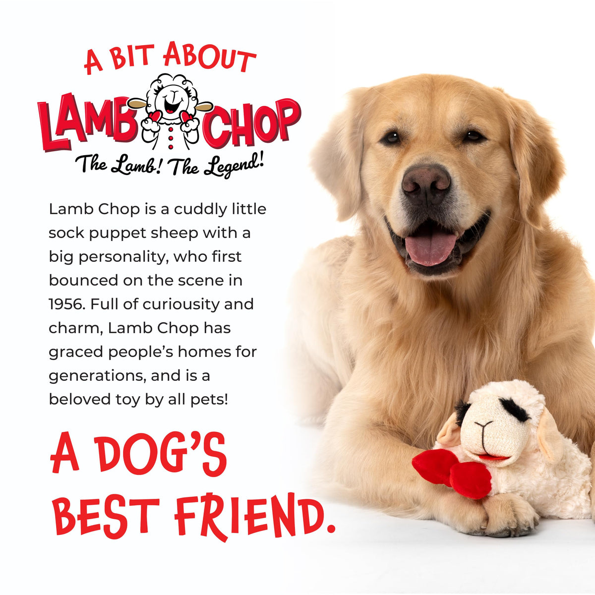 Multipet Lamb Chop Dog Plush Toy 10", Cream, 5 Squeakers