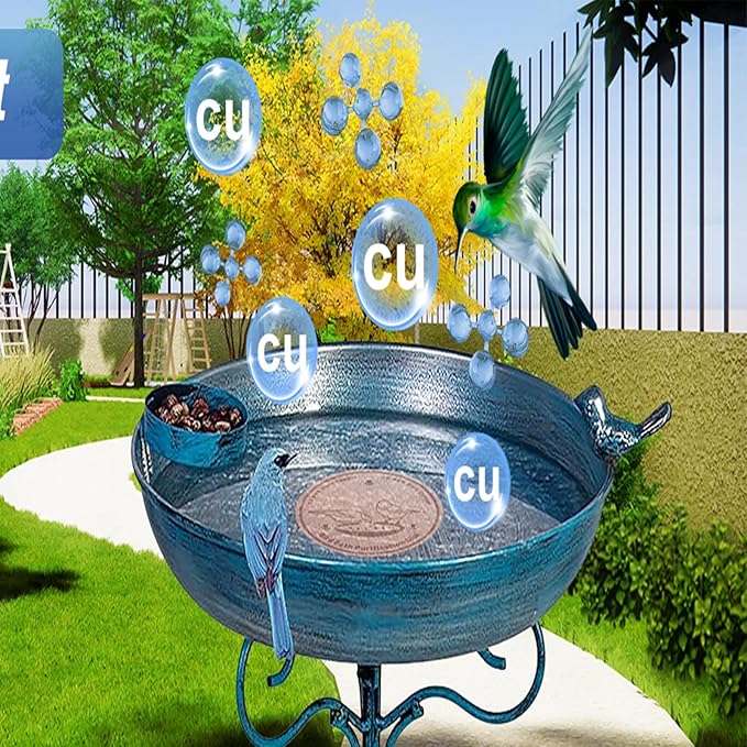 4-Pack 99.99% Pure Copper Bird Bath Purification Disk,Copper Disc with Stable Triple-Point Support,Fits All Outdoor Bird Baths(Round)