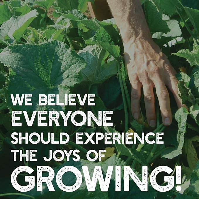 Radish Sprouting Seed - Red Arrow Variety - 4 oz Seed Pouch - Heirloom Radish Sprouts - Non-GMO Sprouting and Micro Greens