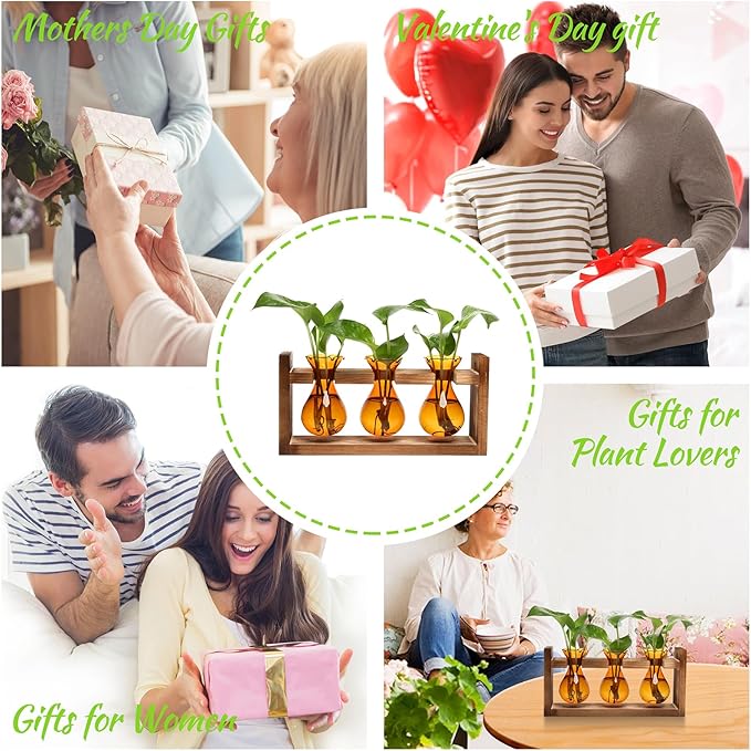 Plant Propagation Station Plant Terrarium Unique Birthday Gifts for Women Plant Lovers Home Office Decor Planter with Wooden Stand - 3 Bulb Glass Vase