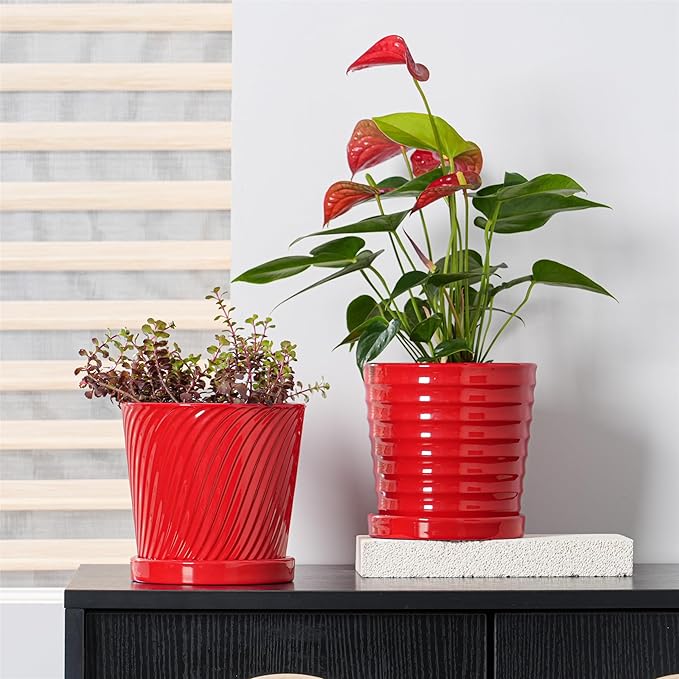 Ton Sin Plant Pots, 6 Inch Flower Pots for Plants,Ceramic Planter with Drainage Holes,Indoor Planter Pots with Saucer,Outdoor Garden Pots (Red, 4 Pack)