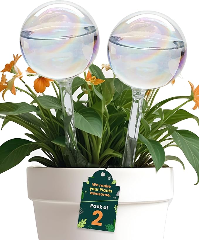 Large 2 Pcs Iridescent Self Watering Globes, Glass Rainbow Plant Watering Globes, Self Watering Planter Insert, Automatic Plant Waterer Indoor, Plant Watering Devices, Plant Water Globe, Watering Bulb