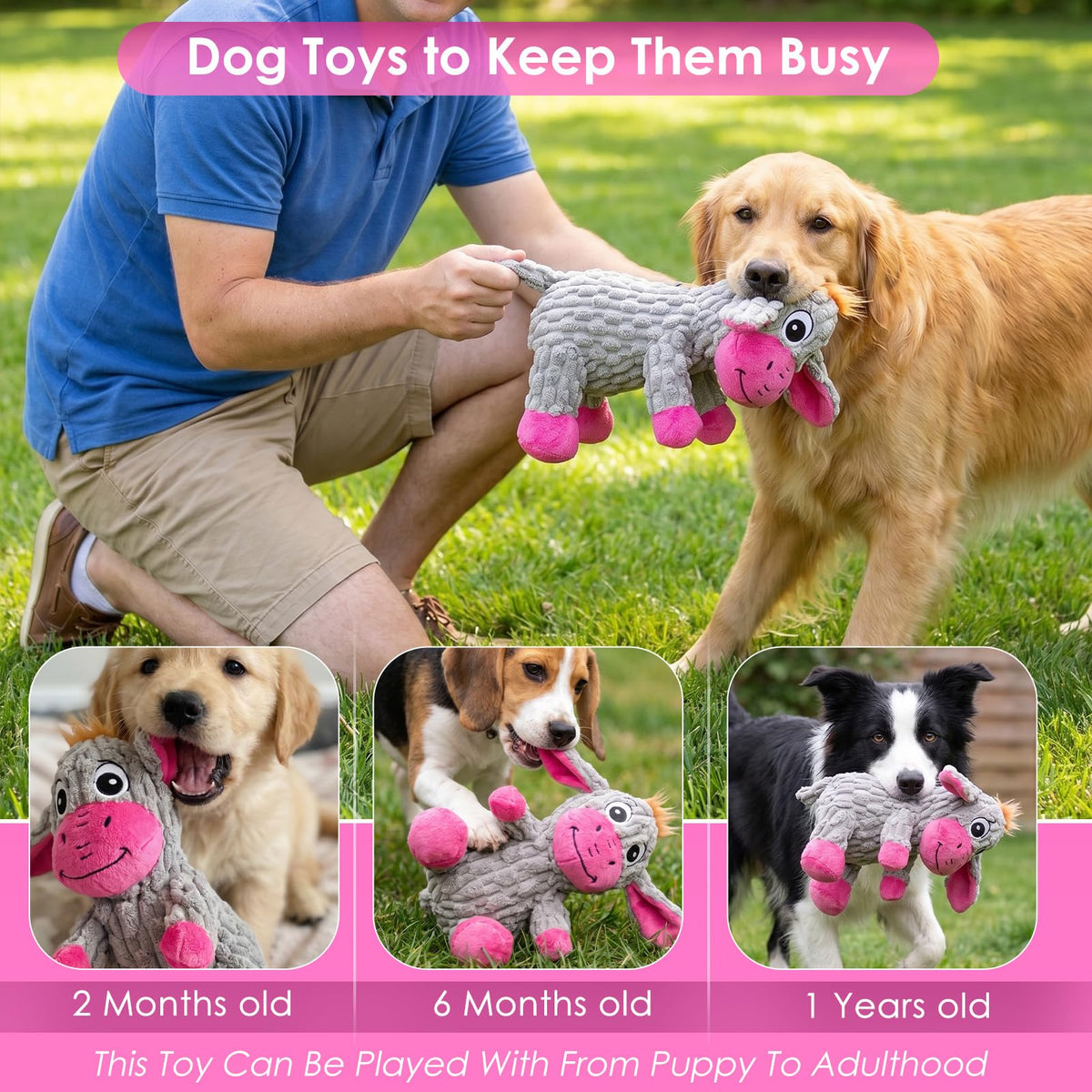 ZYBDP Squeaky Plush Dog Toy with Crinkle Ears for Small and Medium Dogs