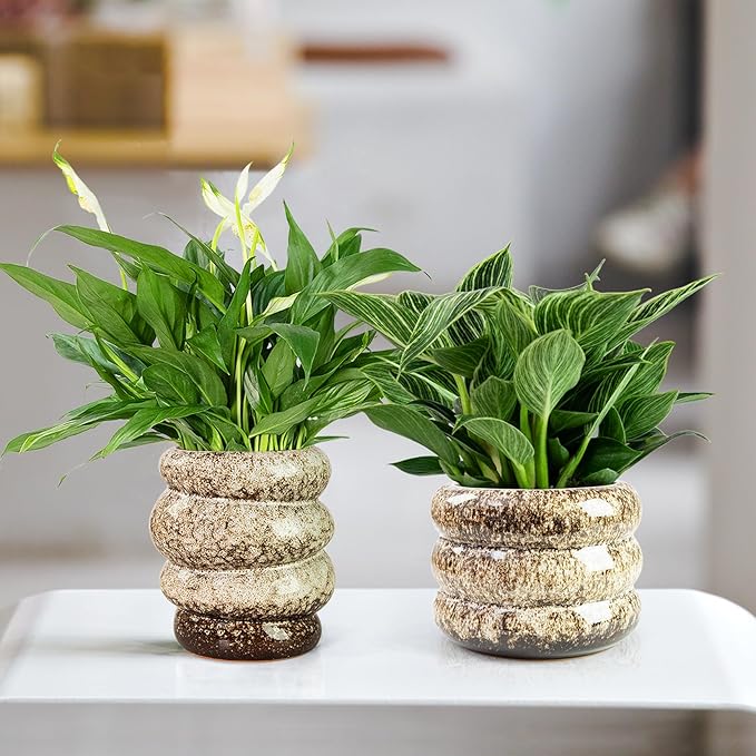 Ceramic 6 inch Plant Pot - Planter for Indoor Plants with Drainage Hole, Flower Pots for Orchid, Succulent,Outdoor Plants, Modern Glaze Planters for Home Office Decor Gift
