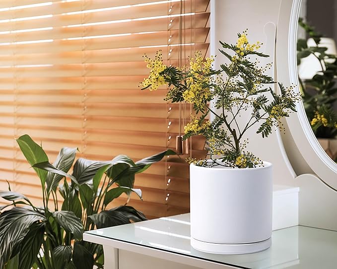 D'vine Dev 6 Inch & 8 Inch Ceramic Planter Pots for Plants with Drainage Hole and Saucer, Medium Plant Pots Set, White, 94-G-M-1