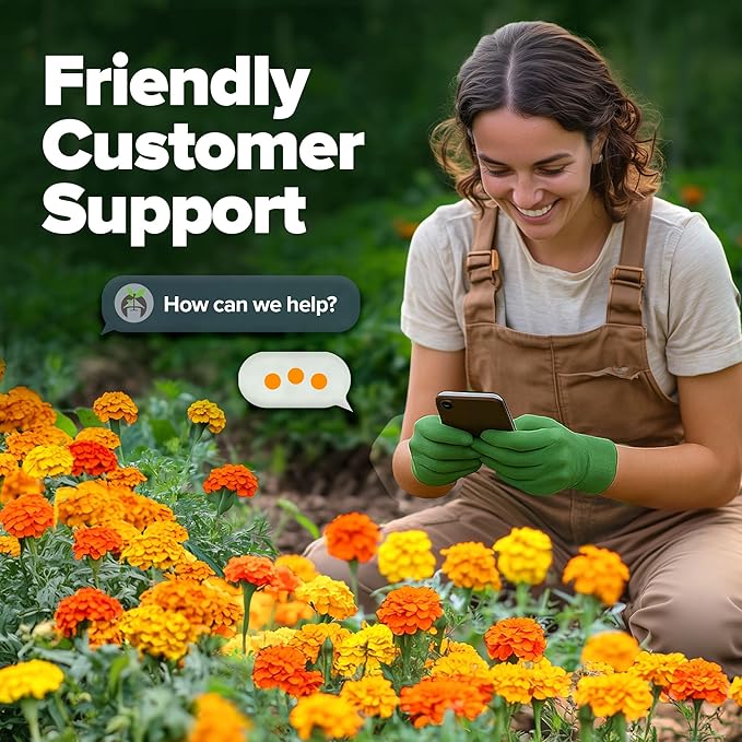 HOME GROWN π¨π¦π π£π₯ππ ππ¨π Petite French Marigold Seeds 329+ Flower Seeds for Planting Outdoors Easy to Grow Companion Plant & Quick Blooming Pollinator Heirloom Wildflower Seed (Tagetes patula)