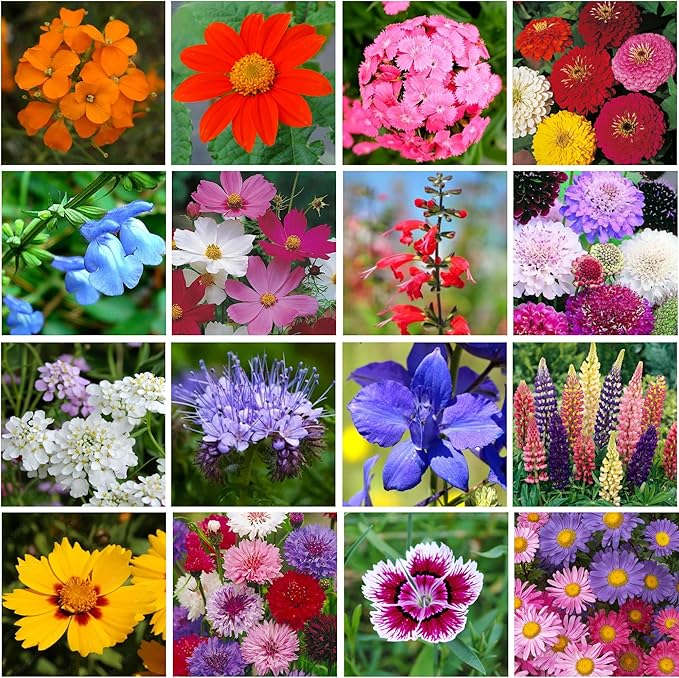 Mini Wildflower Seed Shaker - Bird & Butterfly Garden Seed Mix | 60,000+ Annual & Perennial Flower Seeds for Planting - Attracts Hummingbirds & Butterfly | No Messy Bags or Packets