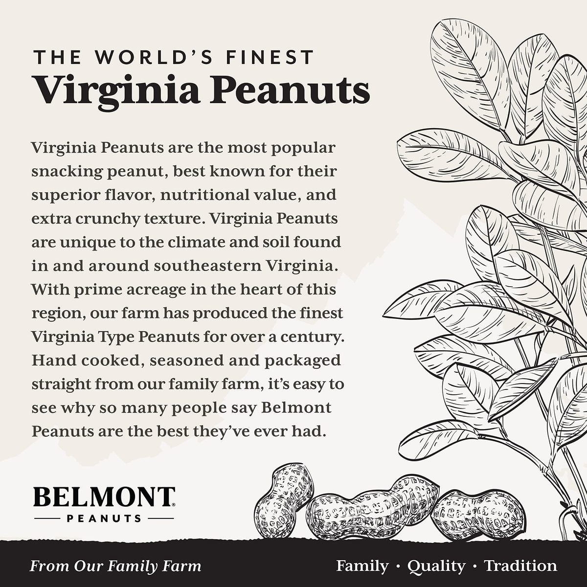 Belmont Peanuts Gourmet Sea Salt & Black Pepper Virginia Peanuts, 20 oz – Hand Seasoned, 7g Protein